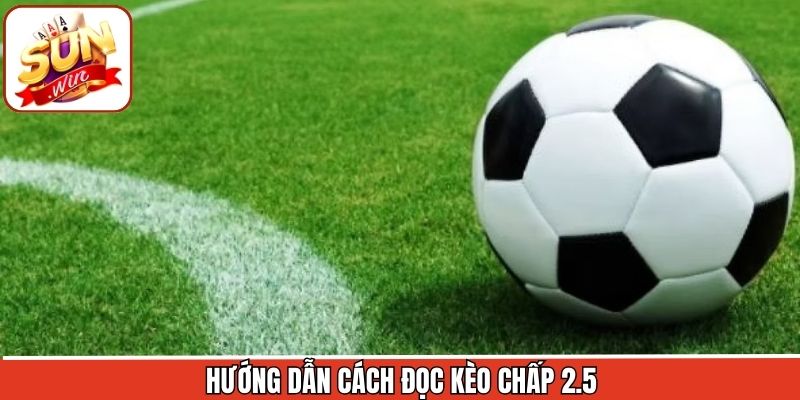 Kèo Chấp 2.5 – Lựa Chọn Tinh Gọn Cho Dân Soi Kèo Tại Sunwin 2 Nắm vững kèo chấp 2.5 một cách nhanh chóng